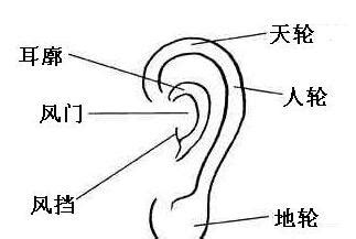 耳珠面相|从耳朵看面相｜5点耳朵形状及特征，一窥性格与运